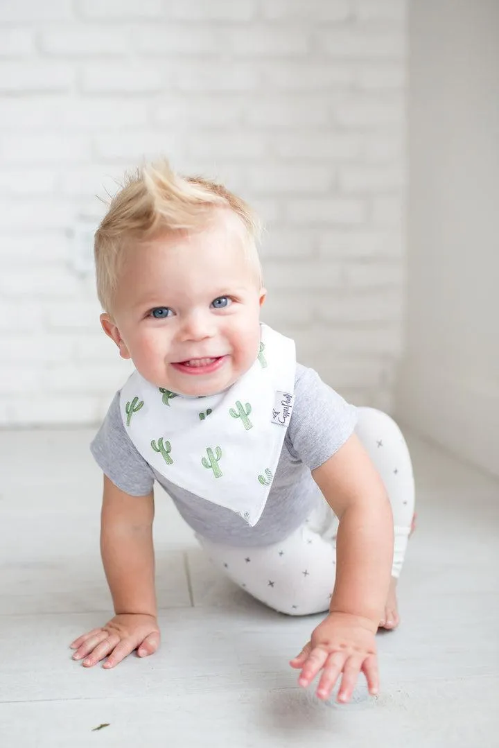 Bandana Bib, Phoenix