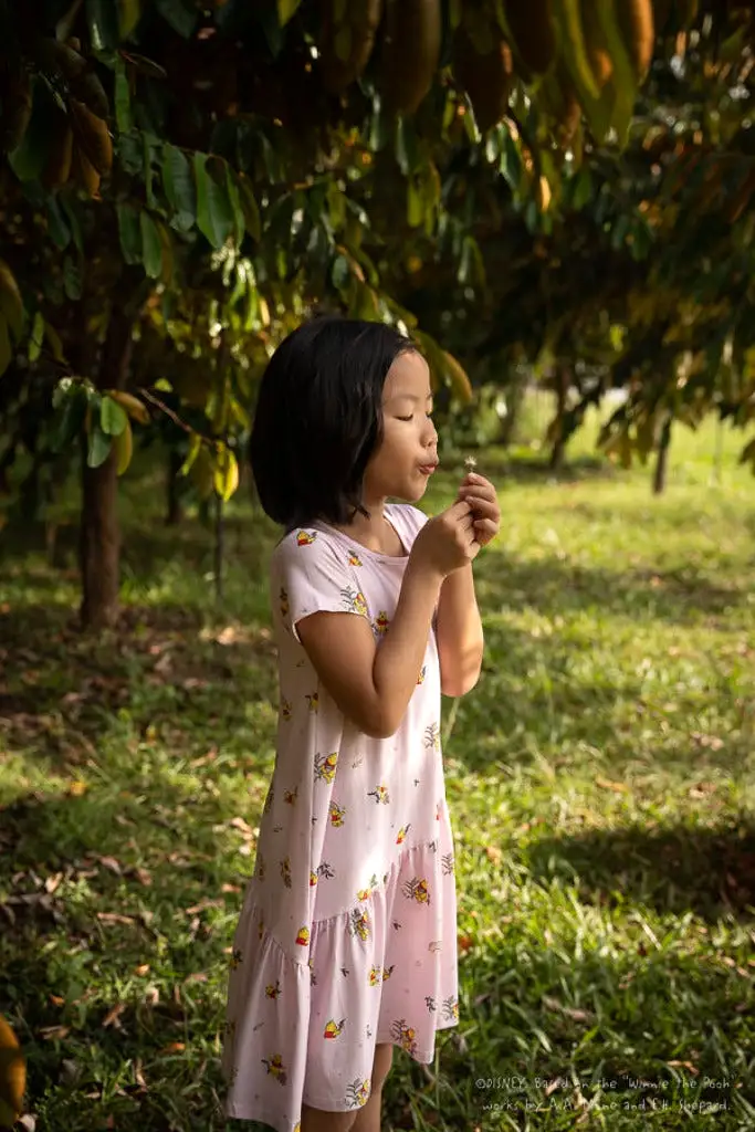 Mary Dress - Pink Rainbow Pooh