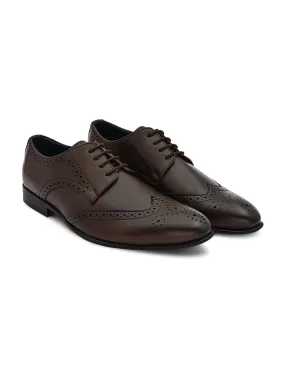 Men Formal Dark Brown Brogues