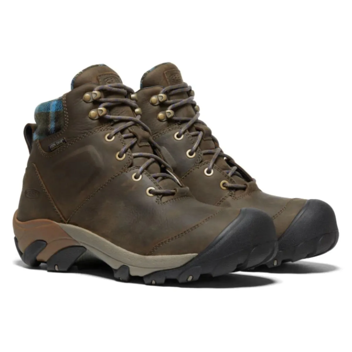 Targhee II Winter Waterproof Boot